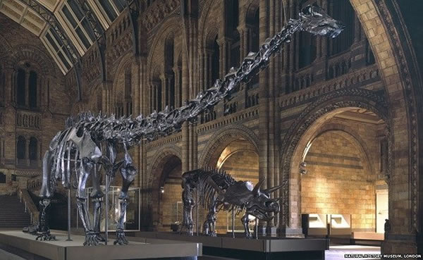 λ׶ȻʷڴڵǼģͽ滻