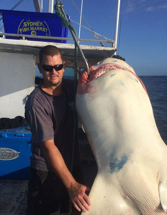 ����������Ů�Ѳ�׽����200����Ĺ�ţ�� ��Ƭ�������������ֱ�