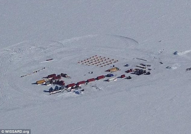 南极厚达740米的永久冰层下方的黑暗海水中发现身体半透明的鱼类