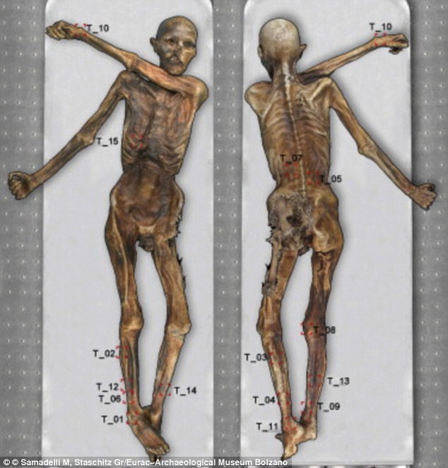 在5300年历史的冰人“奥茨”干尸身上发现一组此前未见的纹身