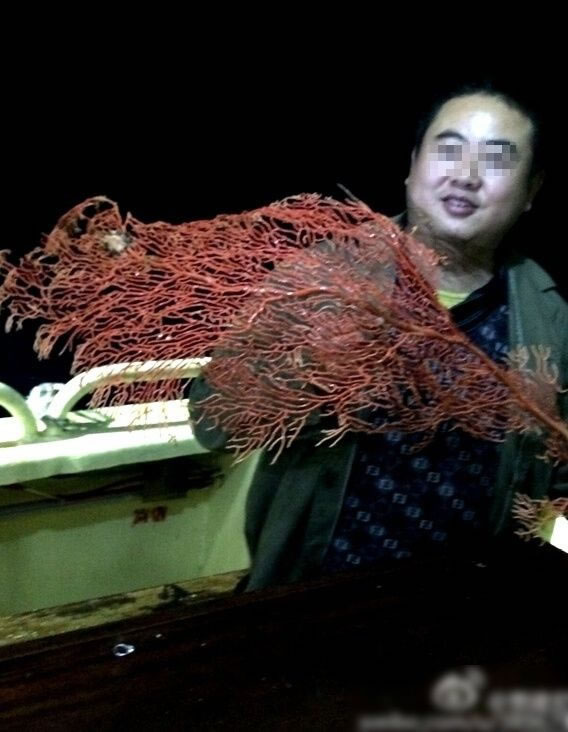 中国旅客在西沙采罕有的红珊瑚