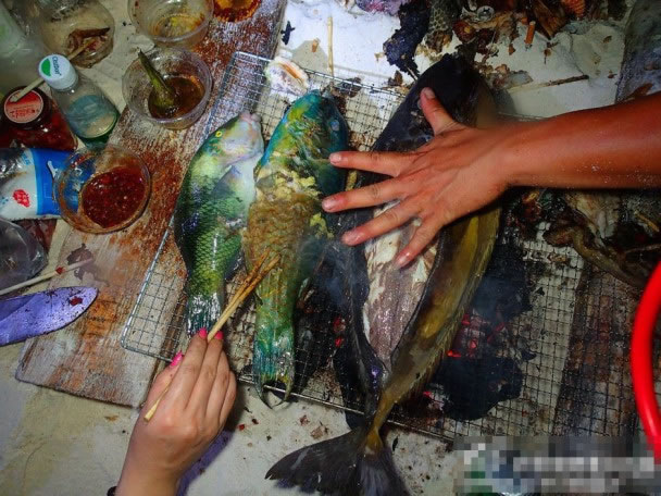 游客用西沙的“鱼获”来烧烤