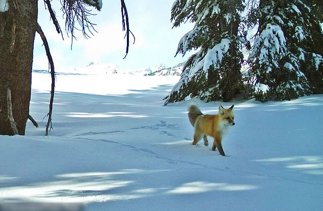 �������ڻ��������������������������ʤ���ع��ҹ�԰