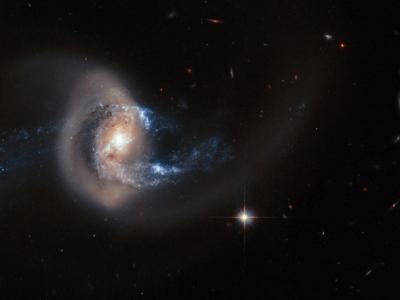 法国飞机制造商设计IXION概念无窗商务喷射