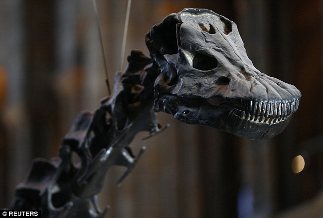 ݷҲǵɣΪݶƳ³ǺģĹǼѾڲ鶯еļʮˣҲһβĸı䡣