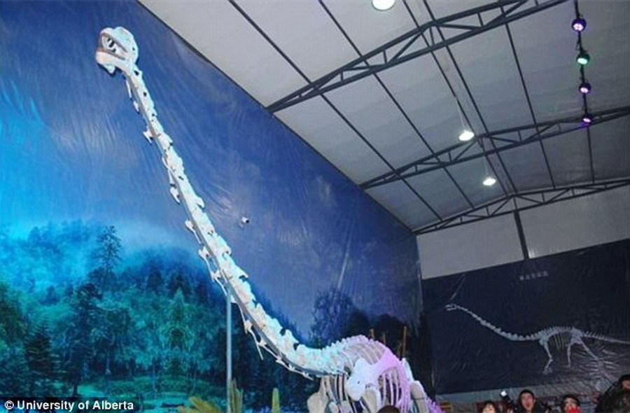 如图所示,这是綦江博物馆陈列的綦江龙骨骼模型,大量参观者前来观看。