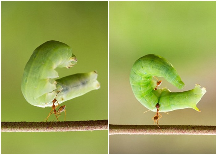 ë������ͱ����ϴ�ö�