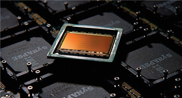 ���Ƴ���һ��ģ�����Լ����оƬ