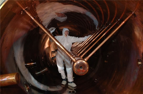 ȷ��117��Ԫ��