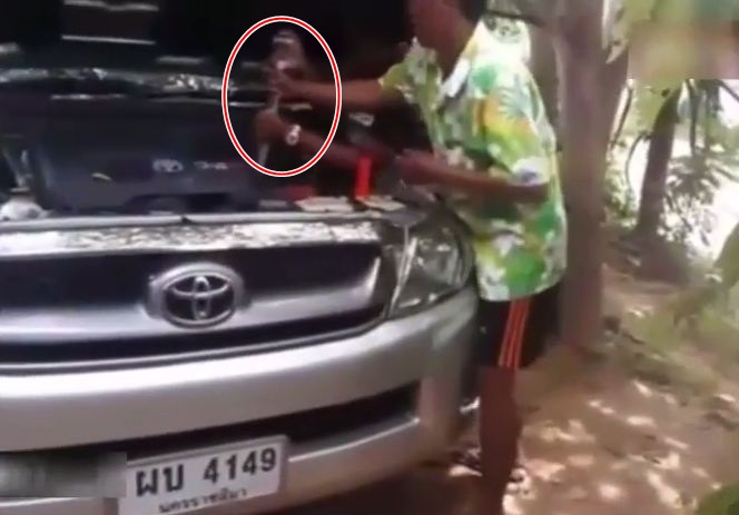 车头赫见巨蛇,“蛇王”眼明手快一把抓住。