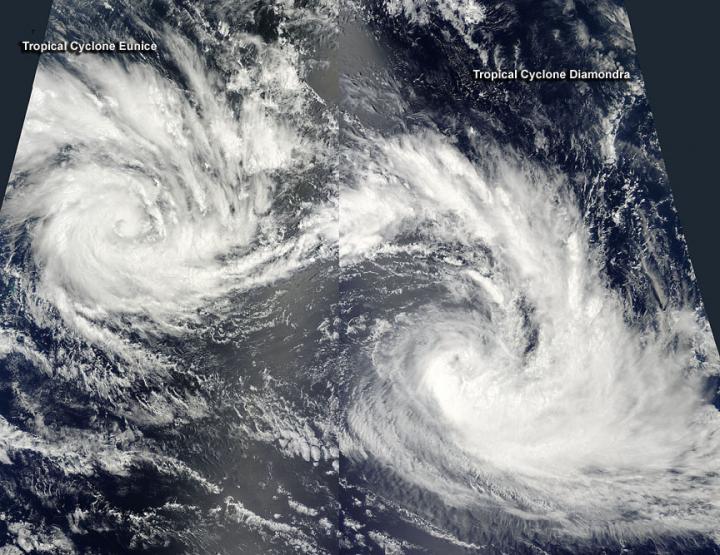 ƬʾȴDiamondraEuniceӡ