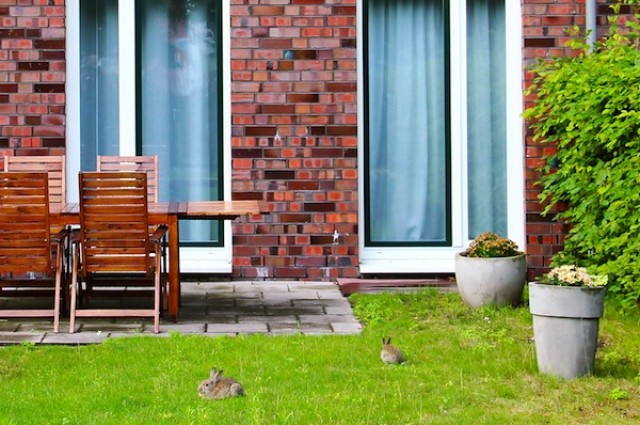 Ѩ����ũ�����һֱ����˥��״̬ ���ڳ�����ȴ�ս���ʢ