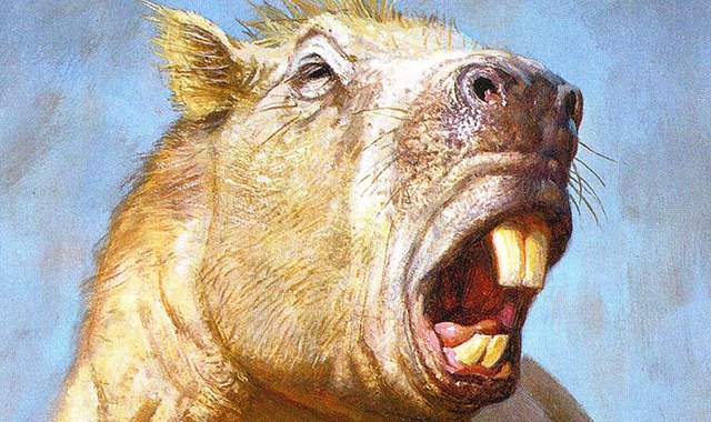 “Josephoartigasia monesi”的咬合力与老虎相当