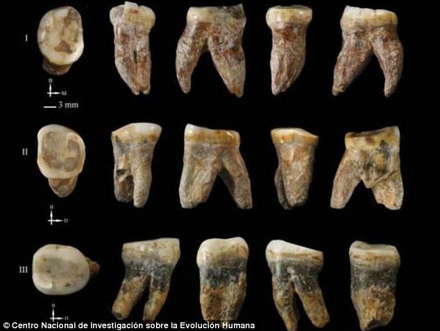 山西省发现的一些古人类化石很能是亚洲另一个新的早期人种
