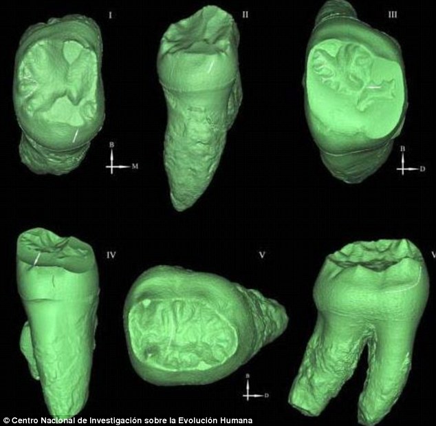 ɽ��ʡ���ֵ�һЩ�����໯ʯ������������һ���µ���������