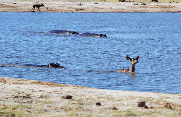 С����ӹ��Ź��ӳ�����