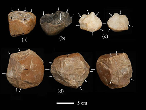 图2 丹江流域马岭2A地点遗址出土的砍砸器(a, b, c) 和多面体石核(d)(裴树文供图)