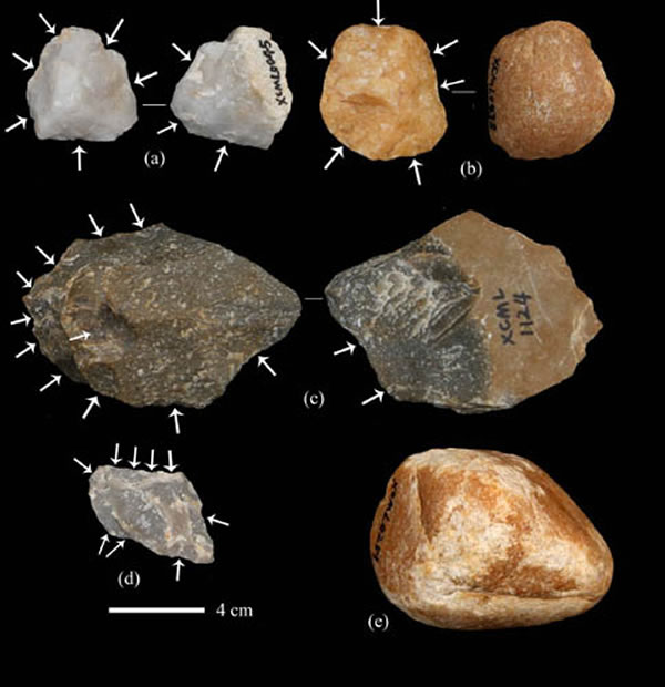 图3 丹江流域马岭2A地点遗址出土的盘状石核(a, b)、石核刮削器(c)、刮削器(d)和石锤(e)(裴树文供图)