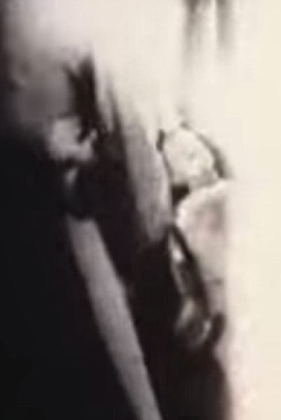 ͼпԿԱڶ˵м飬Ҳʾ˹ά¼ʵ˷ɵ׹١