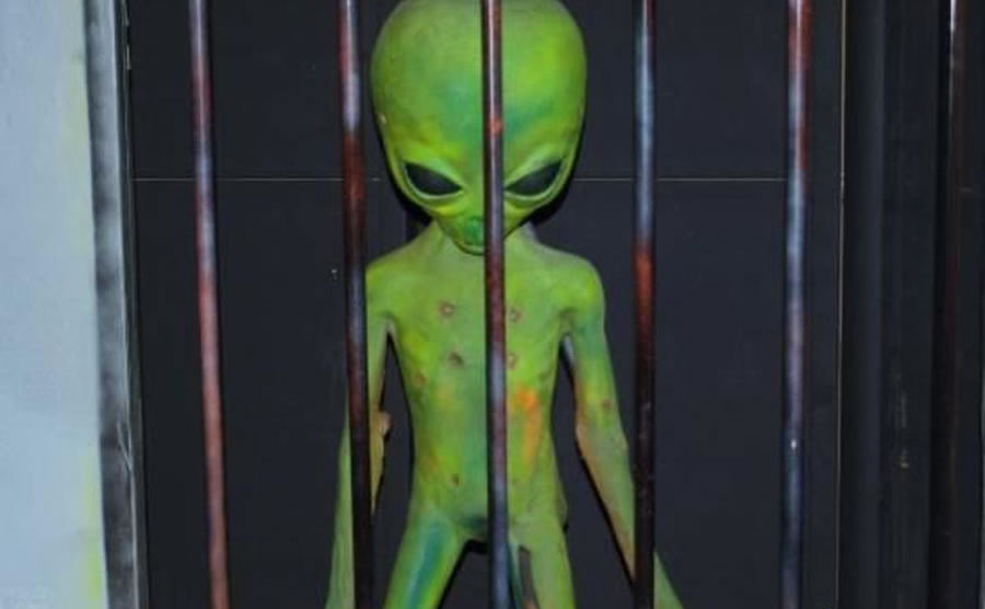 ڹȥļʮڣ½Լ˷ɵƬʵǱڸǡ