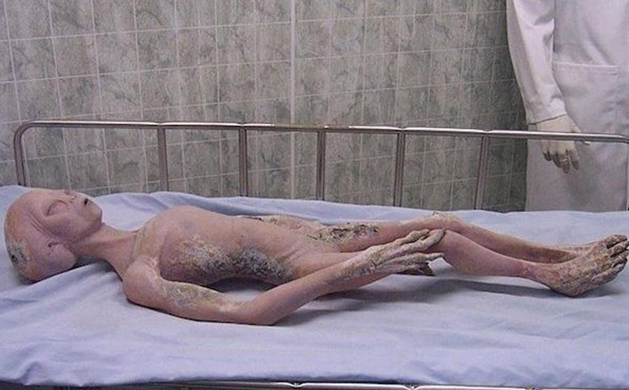 ڹڷѹ1995깫˵ʱݣֻһ׹¼