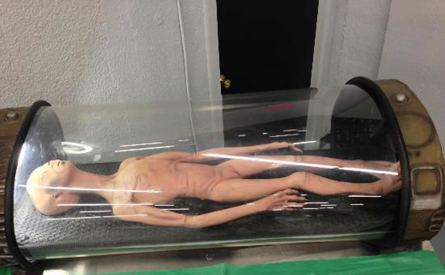 2011꣬˹άٴγΪͷŸɭΪ˹άֵʵһͻ12꺢ӡ