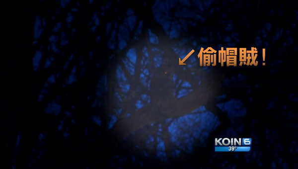 �������ո�����ֻ��ŭèͷӥ����·������4��ñ��