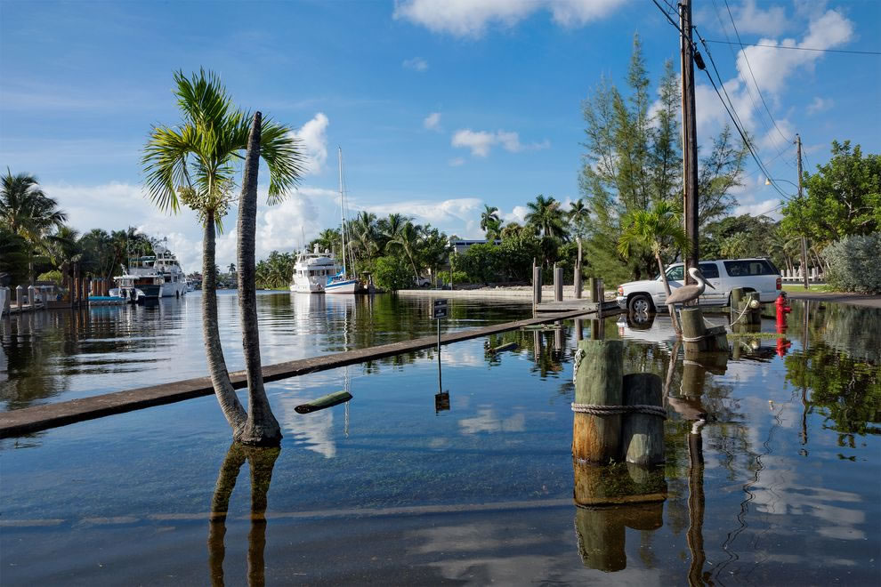 һ±˵ںٶȱȹȥ20졣 201410µȷ޵ᷱ͵ĸ߳߳0.3ߣԤ³̬ Photogra