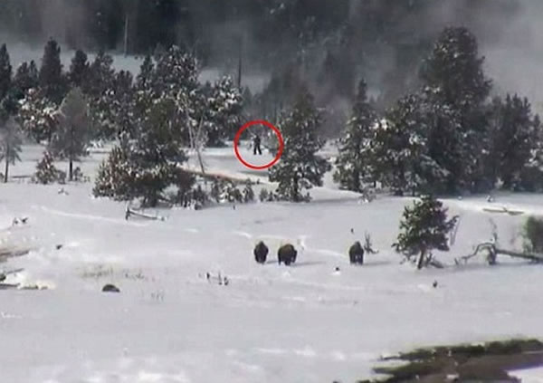 㵽4ֻŹ֡(Big Foot)ʯҹ԰ɢ