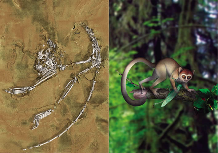 ��ϲ���о�Ա2013����ڰ�����˹������о���������ͬ����Ϊ�ǹ��鳤��ѧ�о�������ʷ��������Ҫ�ķ���֮һ��