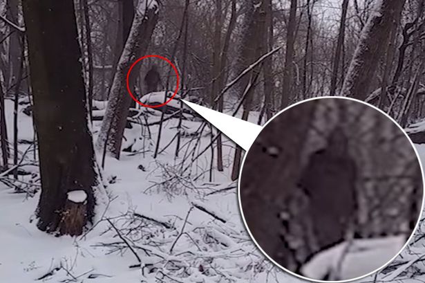 美国布鲁克林展望公园拍到神秘人形“大脚怪”