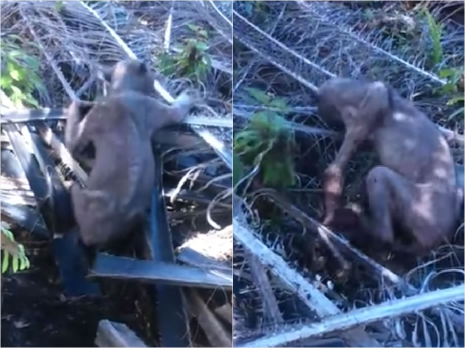 �������Ǵ��ֹ�����Ա��Ӫ�������ġ�̫���ܡ�����Ϊ�����ǹ������һ��