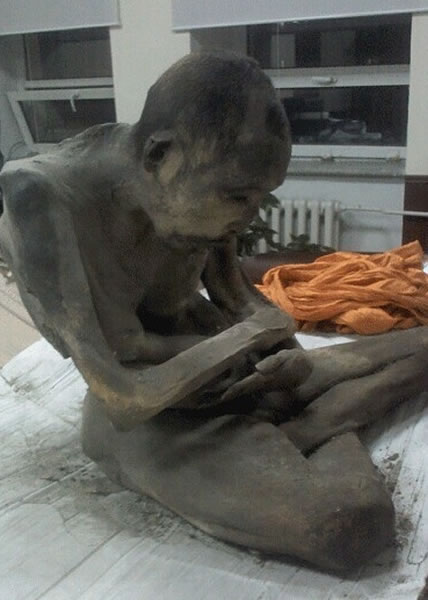 �þ߸�ʬ����ϥ���������ƣ���û�и��ü���