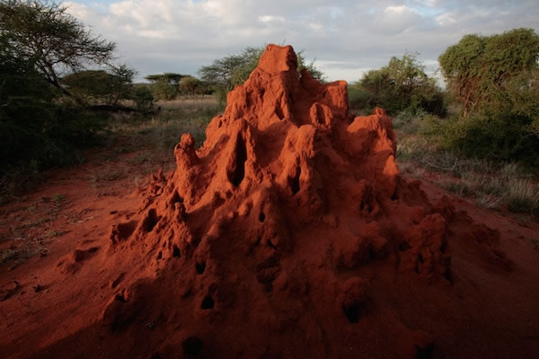 ���о���ʾ���Ͻ������С��ɽ����ϳ����Ա���ֲ��