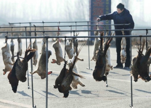商贩将野兔、野鸡倒吊在架子上,供顾客挑选。