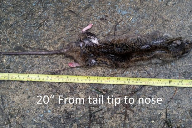 ������������20����