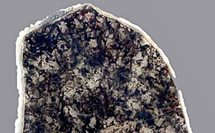 古老细菌在过去23亿年里基本上保持不变