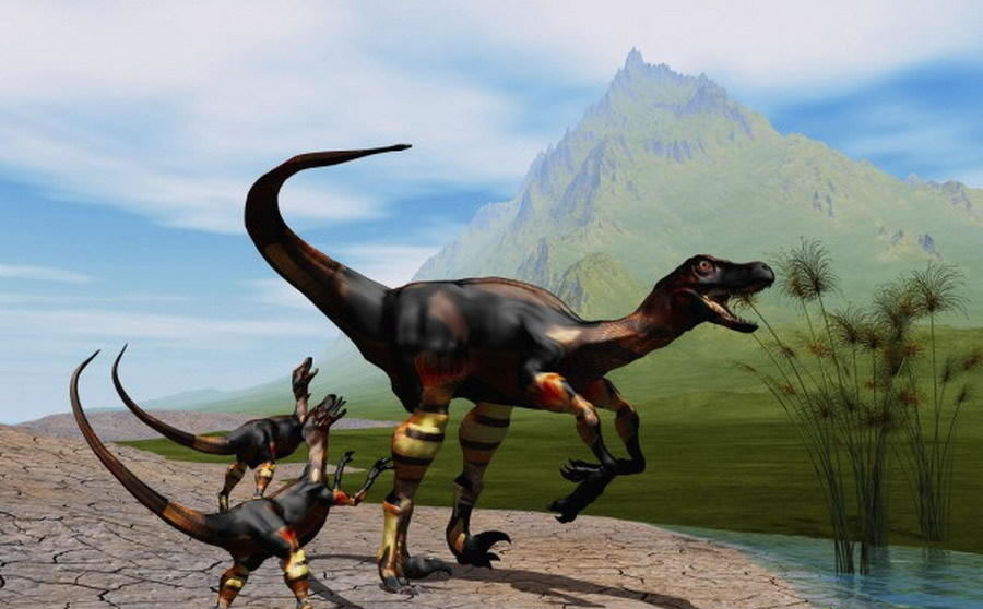 恐龙具有色视觉并且使用羽毛作为通讯工具