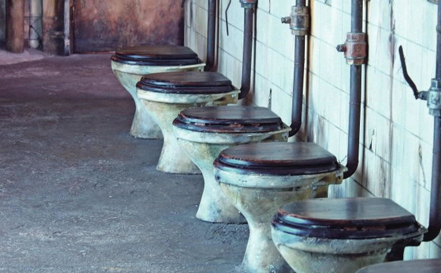 远古动物“公共厕所”