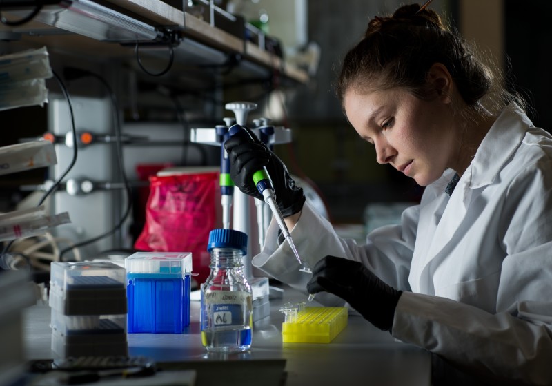 染色体研究使得科学家可预知一个人什么时候死亡