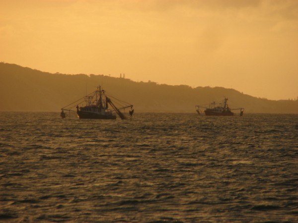 澳大利亚海岸的拖渔船