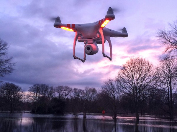 研究发现无人机的速度和颜色对鸟类是否受到其干扰并无联系