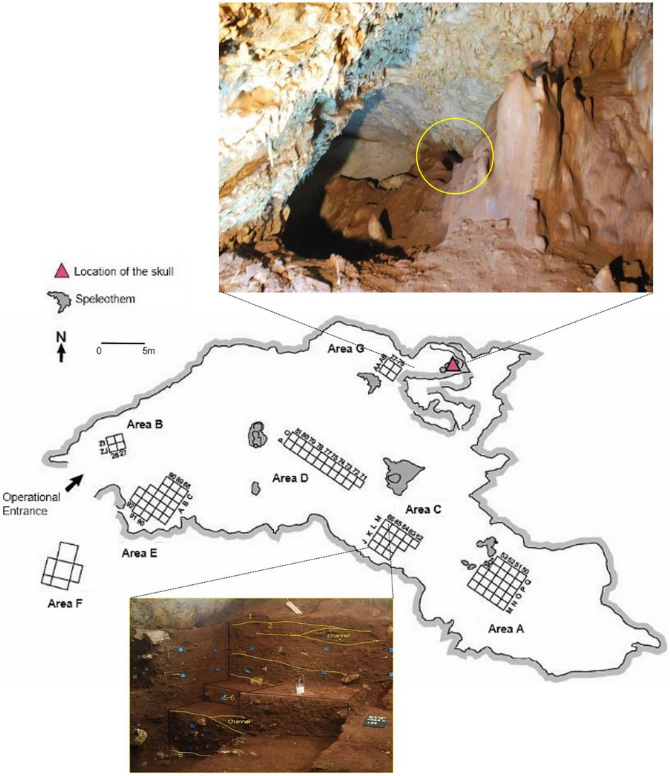 ��ɫ����������Manot��Ѩ�з��־���Լ5.5����ǰ������ͷ����Ƭ