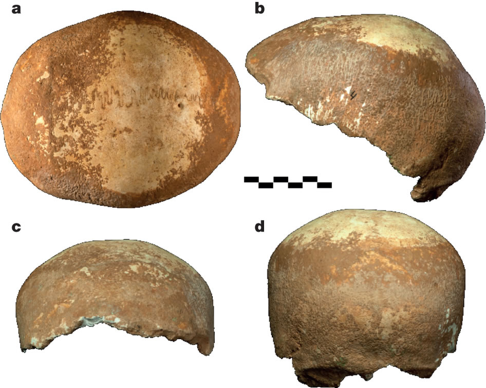 ��ɫ����������Manot��Ѩ�з��־���Լ5.5����ǰ������ͷ����Ƭ