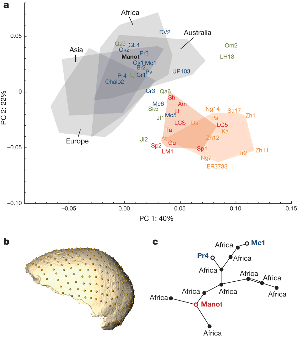 ��ɫ����������Manot��Ѩ�з��־���Լ5.5����ǰ������ͷ����Ƭ