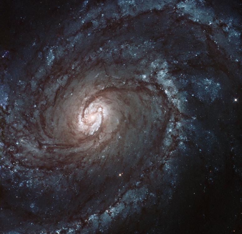 ������ַ���һ����Ů����ϵ����������ϵM100��ͼƬ