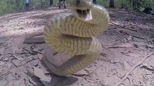 ĴӰʦð綾˷𹥻ʱ˲