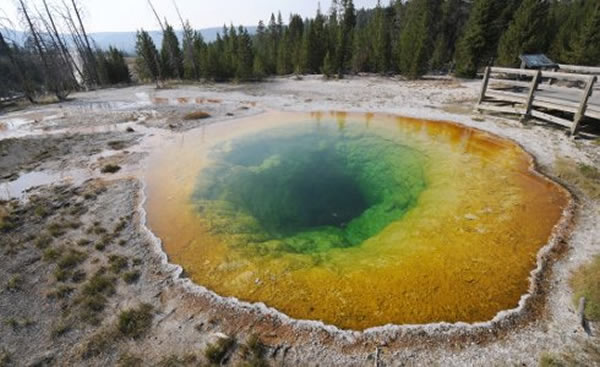 ������ѧģ��������������ʯ���ҹ�԰��Ȫ��ɫ�ʵĳ���