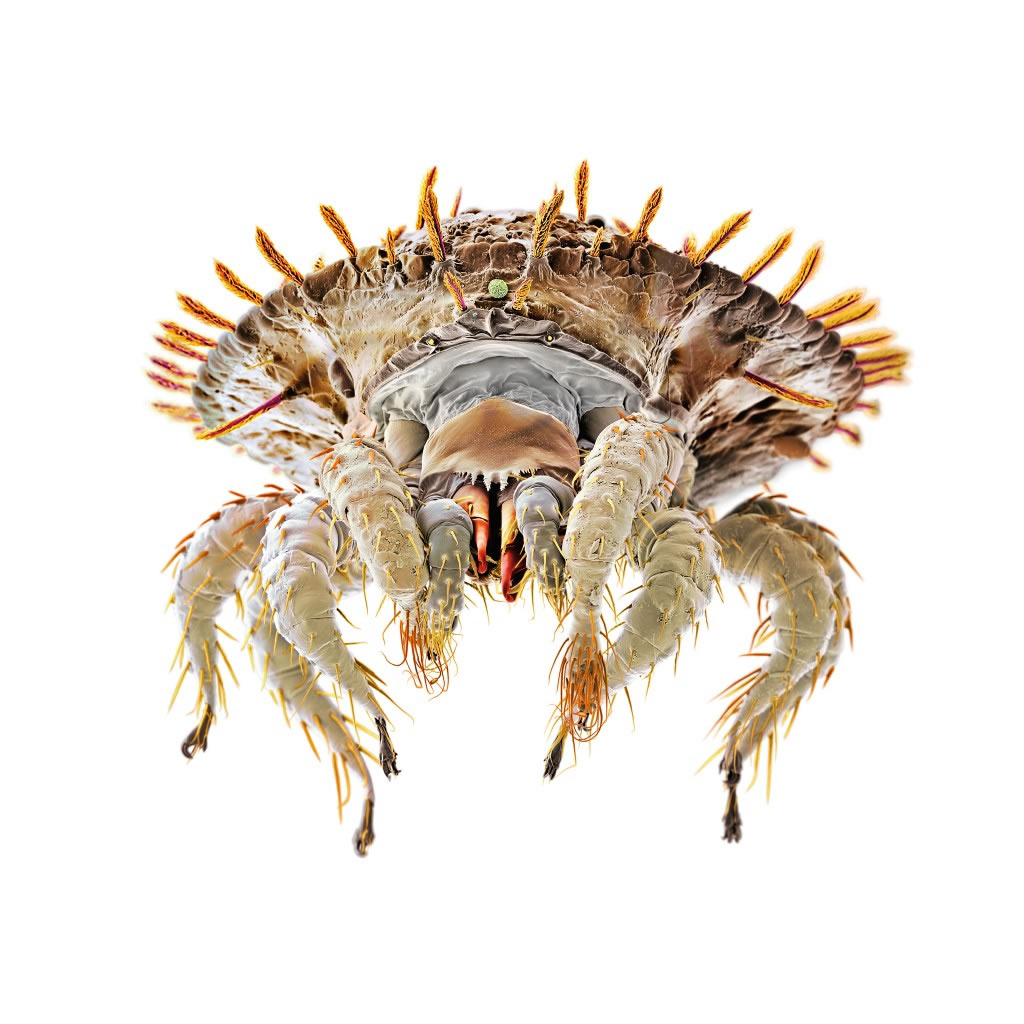 ̽���������������������ӵķ������������ȥ������