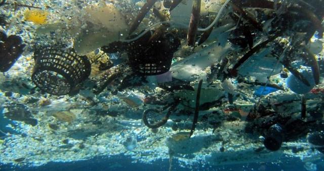 研究人员警告称,每年约有数百万吨垃圾进入海洋,而且这一趋势正越演越烈。